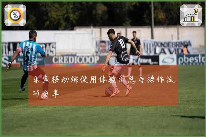 乐鱼移动端使用体验汇总与操作技巧分享