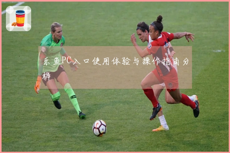 乐鱼PC入口使用体验与操作指南分析