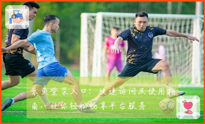 乐鱼登录入口:快速访问及使用指南,让你轻松畅享平台服务