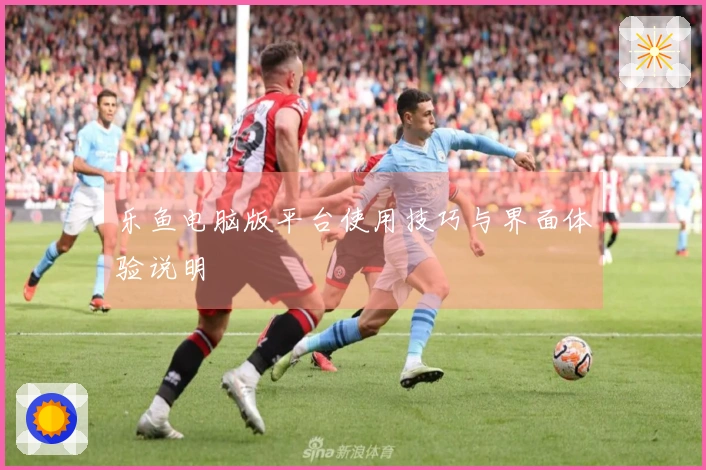 乐鱼电脑版平台使用技巧与界面体验说明