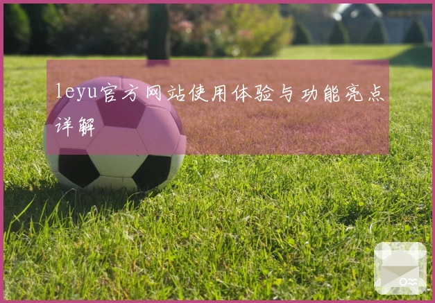 leyu官方网站使用体验与功能亮点详解