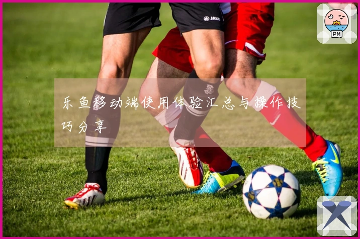 乐鱼移动端使用体验汇总与操作技巧分享